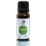 Eucalyptus Oil