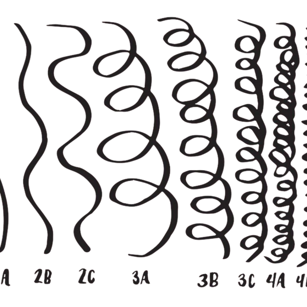 The different hair types including the 4C hair type