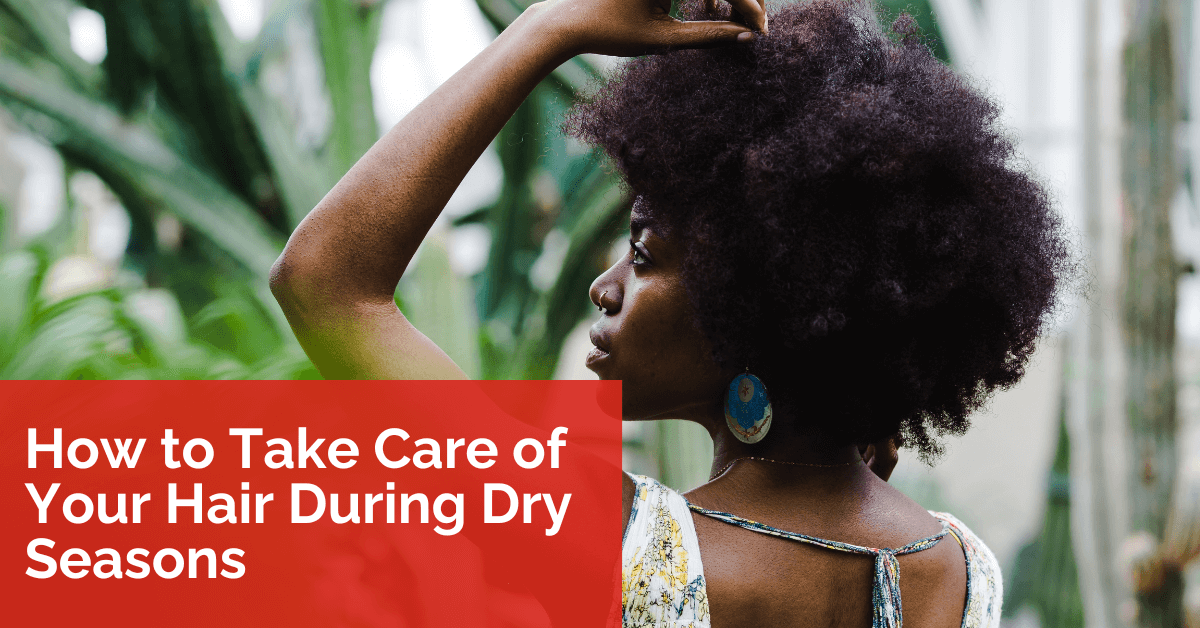 How to Take Care of Your Hair During Dry Season